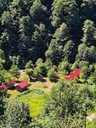 Fotoğraf 35