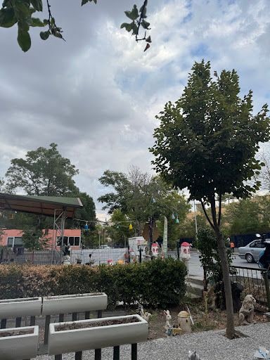 Yorum fotoğrafı 4
