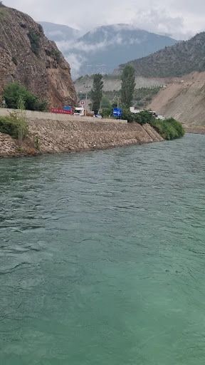 Fotoğraf 22