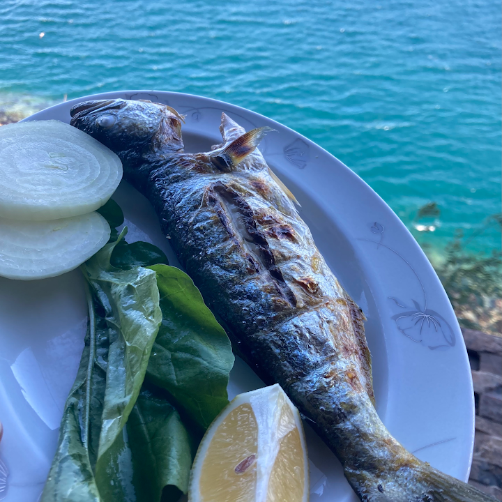 Fotoğraf 36