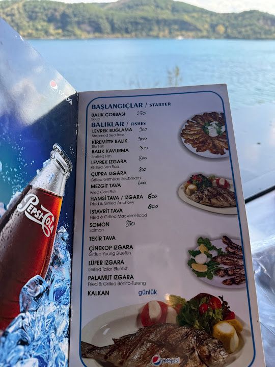 Fotoğraf 45
