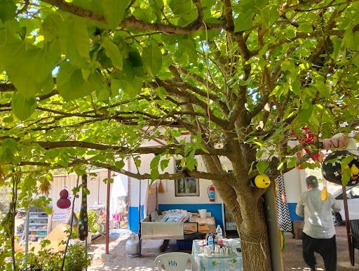 Fotoğraf 25