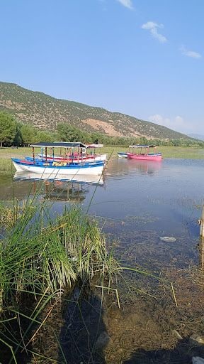 Yorum fotoğrafı 9