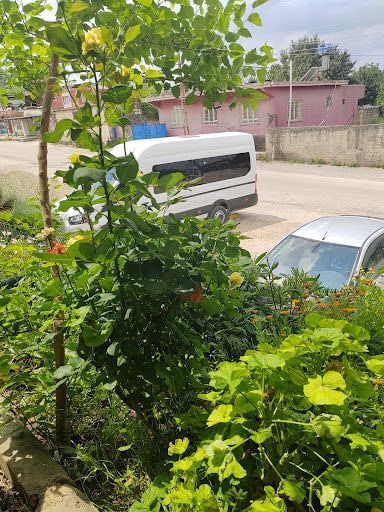Yorum fotoğrafı 3