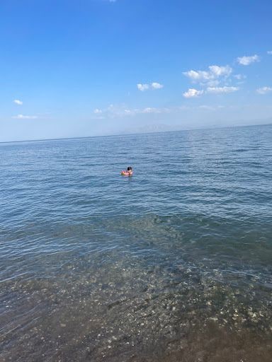 Yorum fotoğrafı 5
