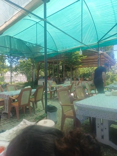Fotoğraf 11