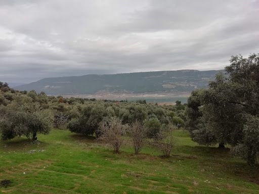 Fotoğraf 18