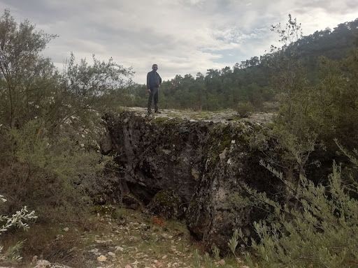 Fotoğraf 15