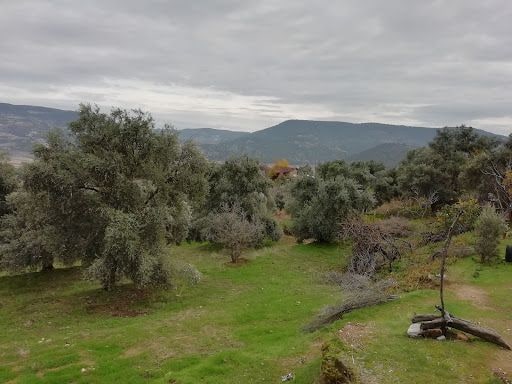 Fotoğraf 16