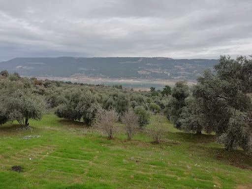 Fotoğraf 17