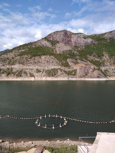 Fotoğraf 17