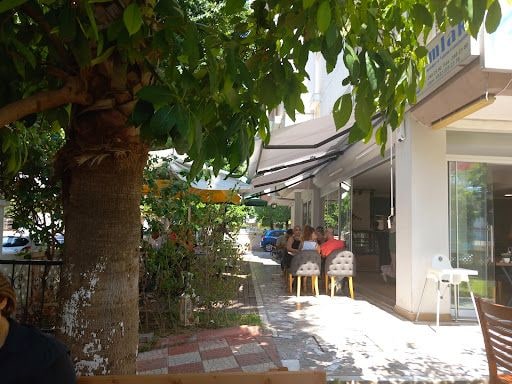 Fotoğraf 24
