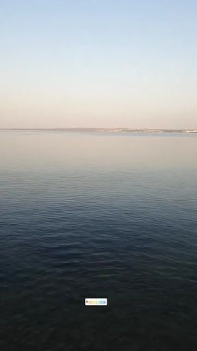 Fotoğraf 19