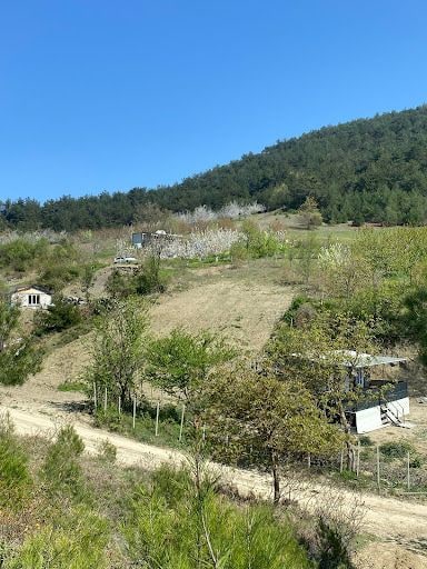 Yorum fotoğrafı 3