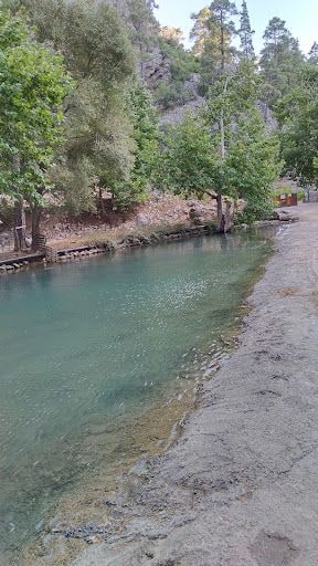 Yorum fotoğrafı 5