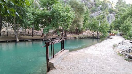 Yorum fotoğrafı 9
