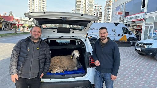 Yorum fotoğrafı 3