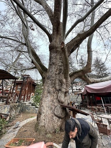 Yorum fotoğrafı 7