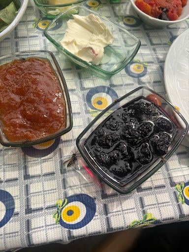 Fotoğraf 12
