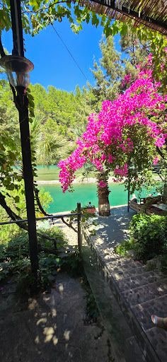 Yorum fotoğrafı 5