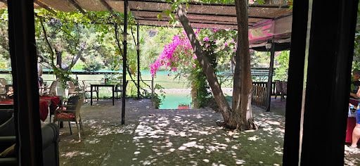 Yorum fotoğrafı 7