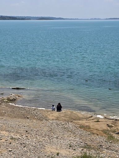 Yorum fotoğrafı 6