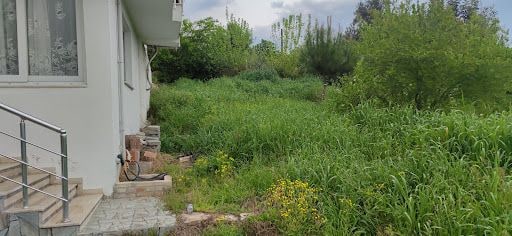 Yorum fotoğrafı 7
