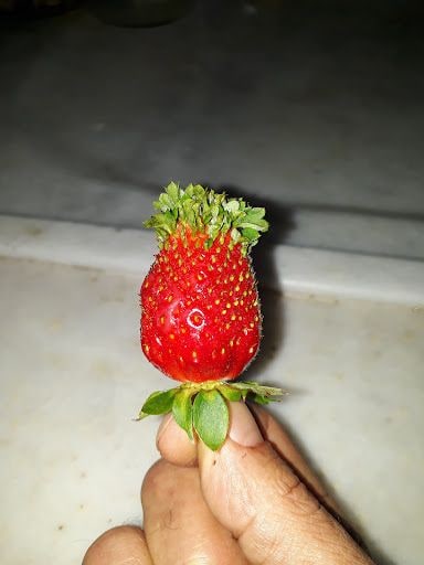 Yorum fotoğrafı 10