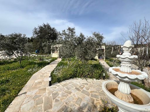Yorum fotoğrafı 6