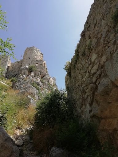 Yorum fotoğrafı 5