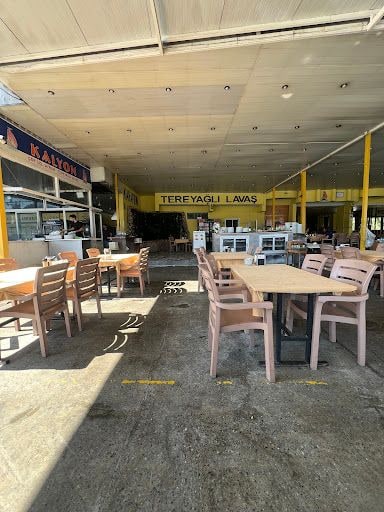 Fotoğraf 23