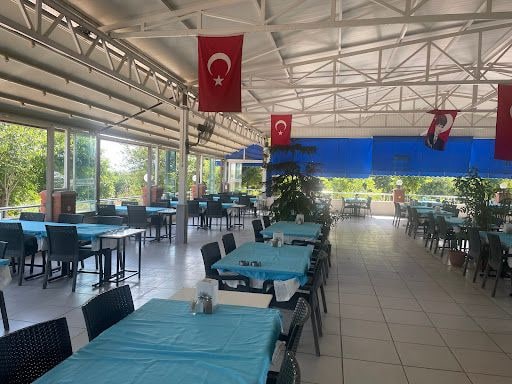 Fotoğraf 31