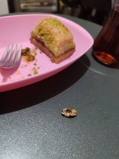 Fotoğraf 18