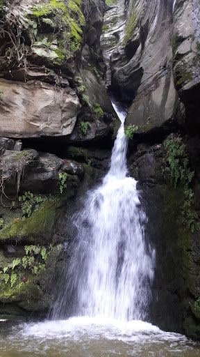 Fotoğraf 52