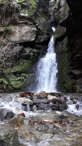 Fotoğraf 53
