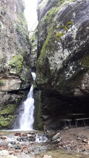 Fotoğraf 55