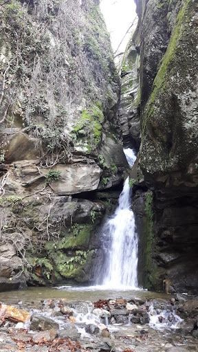 Fotoğraf 56