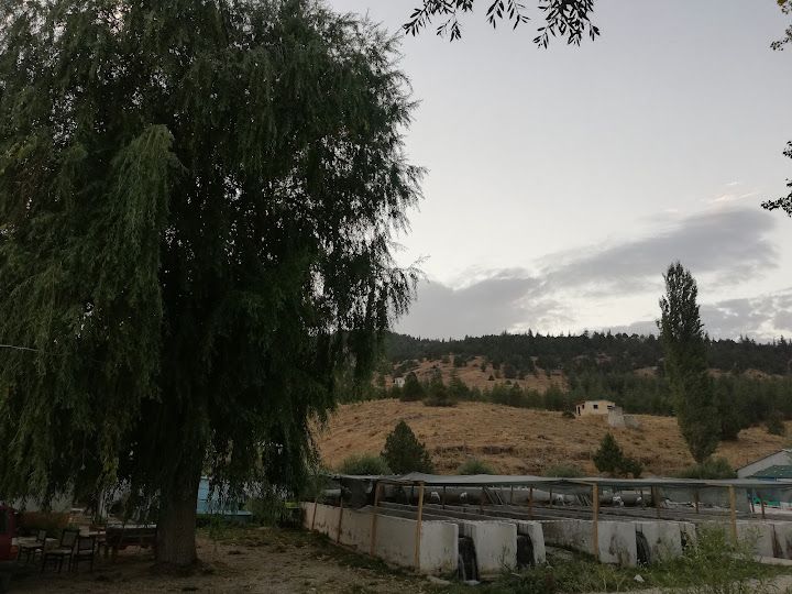 Yorum fotoğrafı 4