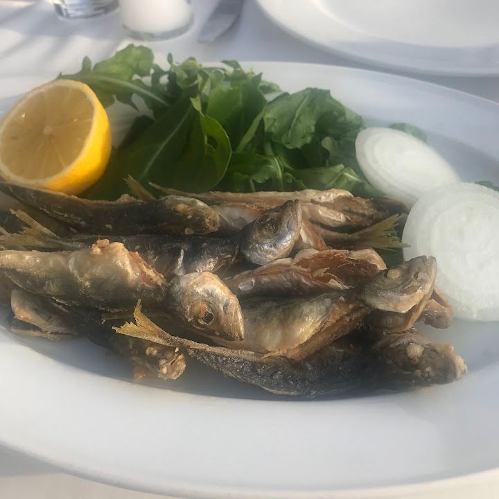 Fotoğraf 19