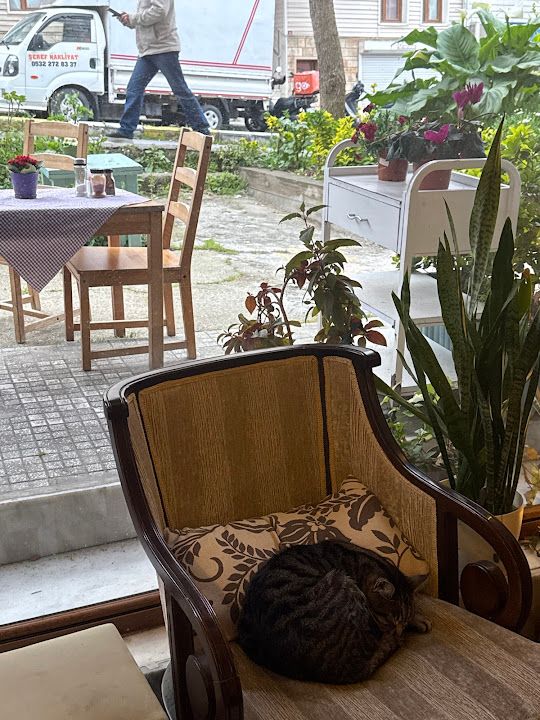 Fotoğraf 18