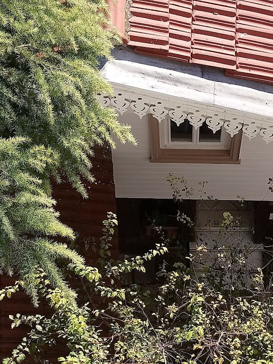 Fotoğraf 23