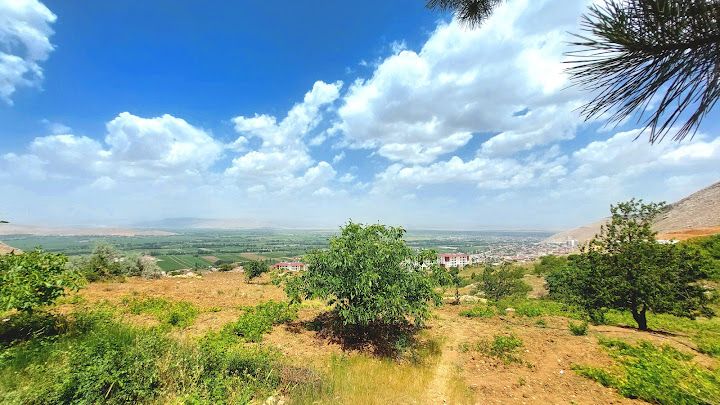 Yorum fotoğrafı 3