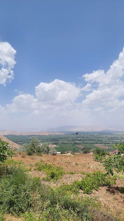 Yorum fotoğrafı 4