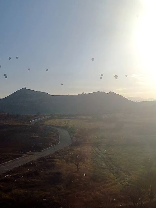 Fotoğraf 46