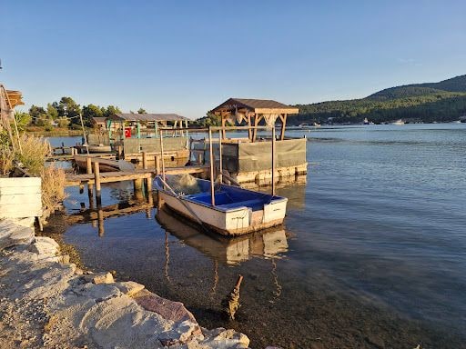 Fotoğraf 13