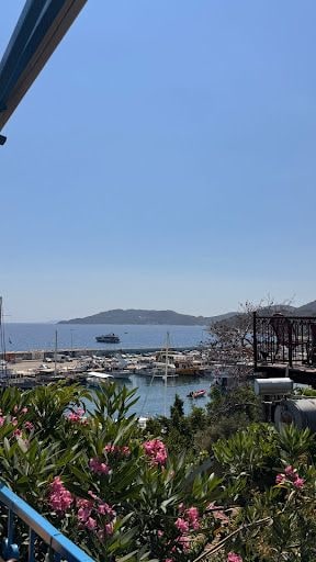 Yorum fotoğrafı 5
