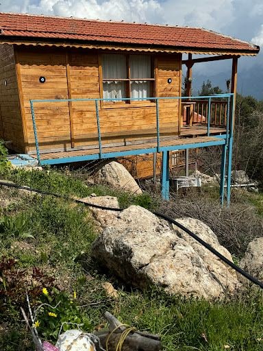 Yorum fotoğrafı 5