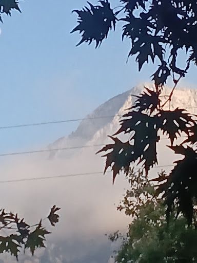 Yorum fotoğrafı 10