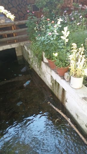 Yorum fotoğrafı 10