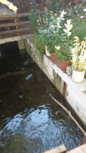 Yorum fotoğrafı 7